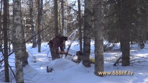 Закрываем сезон на пушнину. Часть 2. 