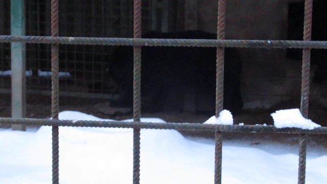 Миша и Маша вышли посмотреть что происходит вокруг смотреть онлайн