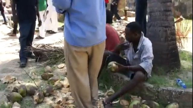 Кения Момбаса Форт Иисуса Чистит кокос смотреть онлайн