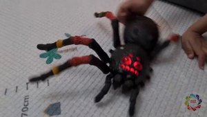 Robo Alive Giant Tarantula by ZURU | Play Time | Fun Time