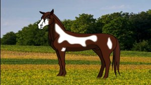 заставка сериала Believe in yourself 2 сезон