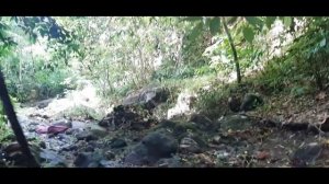 Филиппинcкая деревня и филиппинка Helen