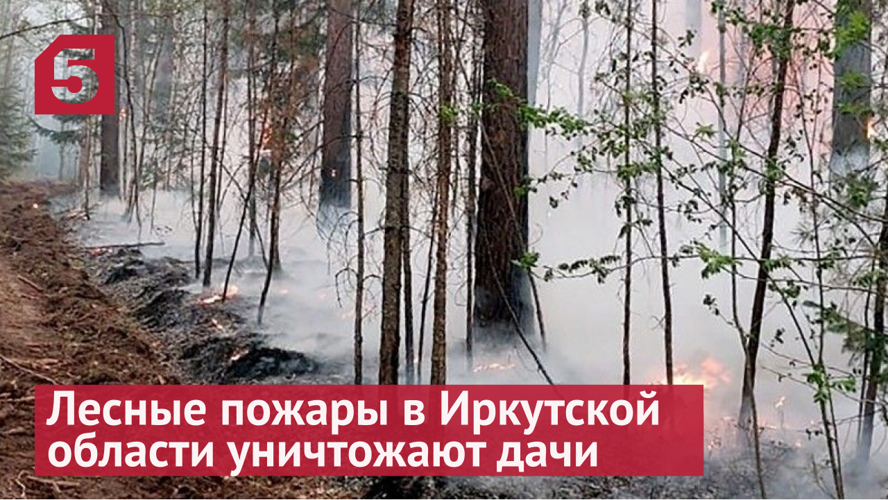 Как спички: лесные пожары в Иркутской области уничтожают дачи