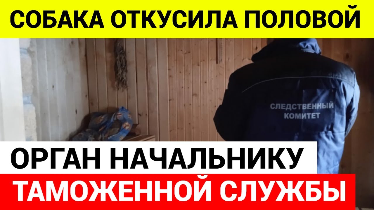 Овчарка ОТКУСИЛА ПОЛОВОЙ ОРГАН начальнику таможенной службы в Подмосковье