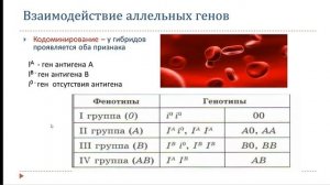 Взаимодействие аллельных генов. РЕШЕНИЕ ЗАДАЧ НА ГРУППЫ КРОВИ