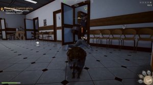 Симулятор Енота #3 Много БАГОВ Wanted Raccoon. Кид спасает животных на пурумчата