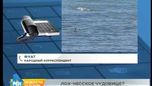 Народный корреспондент: Лох-несское чудовище на Байкале?