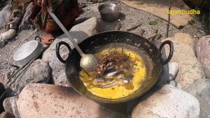 organic kitchen is here || lajimbudha || Nepal??|| @villagefoodkitchen ||