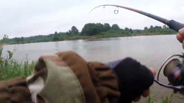 Жерех перед дождём река Неман