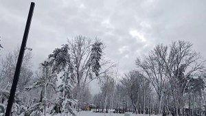 Зимний Комсомольский парк в станице Динской