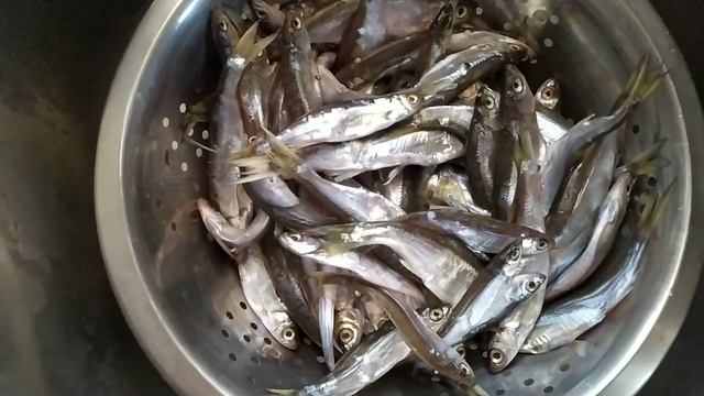 как коптить уклейку правильно