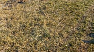 На заметку строителям. Как и где найти щебень и гравий ???