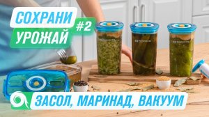 Солим, маринуем и вакуумируем огурцы на зиму   100% результат RAWMID Dream Juicer Modern JDM-80