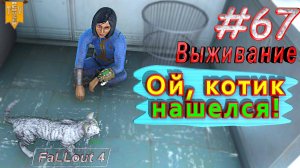 Ой, котик нашелся! Fallout 4. #67. Прохождение. Выживание. Русская озвучка.