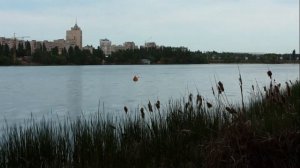 Вечерний Воронеж