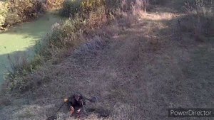 Коп с Garret Ace 250