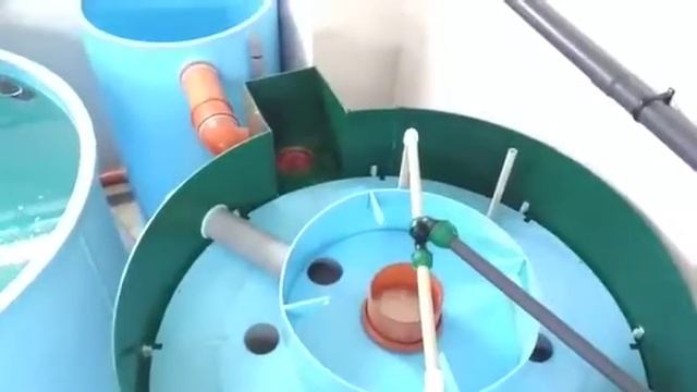 Линия промывки черноморской МИДИИ.