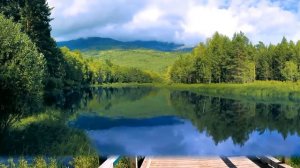 Шедевры инструментальной музыки часть 5.2