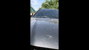 Мотор омывателя от Ланос в Toyota Avensis