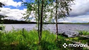 Рыбалка в Архангельской области на лесном озере
