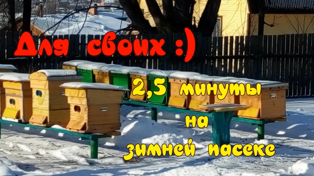 2,5 минуты на ЗИМНЕЙ ПАСЕКЕ. (2.5 minutes in the WINTER APIARY) смотреть онлайн
