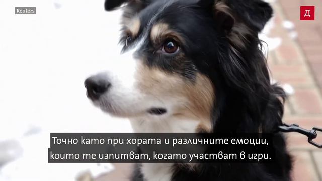 Стартъп създаде нашийник за кучета, който "превежда" кучешкия лай смотреть онлайн