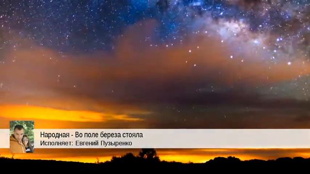 Народная - Во поле береза стояла (Евгений Пузыренко) смотреть онлайн