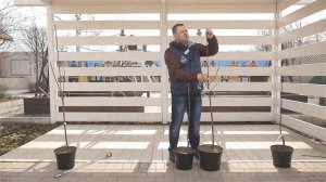 Обрезка молодых саженцев плодовых культур.