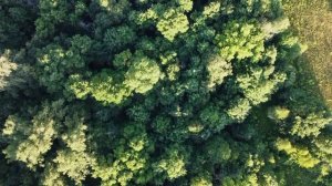 Урал. История о каменном поясе России. Часть 1