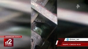 Телеканал «РЕН ТВ», программа «Экстренный вызов 112», 30.01.2024