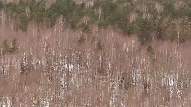 Установка распорок ЛЭП 330 КВ смотреть онлайн