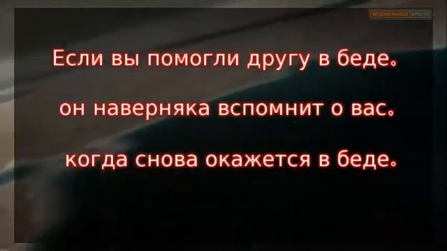 Веселые, прикольные и смешные цитаты, фразы, высказывания