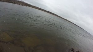 GOPR4319 кумжа поймана феврале в заливе