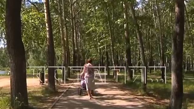 Светлоярский парк будет полностью реконструирован в Сормовском районе смотреть онлайн