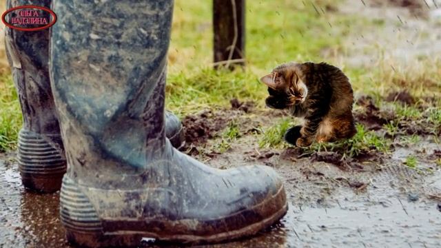 Он неслышно шел и по устланным коридорам дорогими