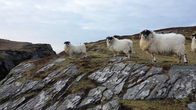 Ireland 🇮🇪 4K Cinematic Footage смотреть онлайн