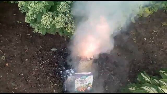 Удаление пня выжиганием (метод Циолковского) смотреть онлайн