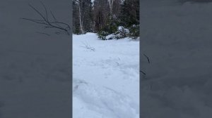 skandic swt 550 deep powder snow 2023