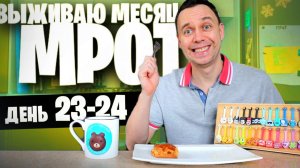 24 день  ВЫЖИВАЮ МЕСЯЦ на МРОТ (ПЕЧЕНЬ)