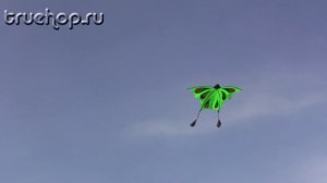 Воздушный змей Бабочка.