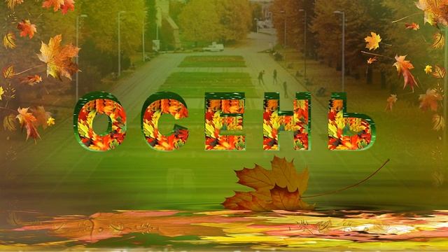 Осень Красивые футажи для видеомонтажа смотреть онлайн