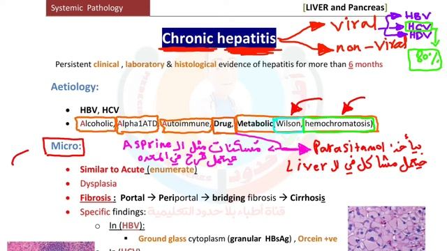 pathology GIT 2021 (Acute & Chronic hepatitis) للدكتور عبدالرحمن خليفة смотреть онлайн