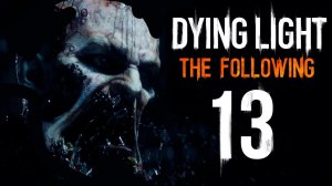 Dying Light: The Following Hard [FREEKILL; Butcher] #13