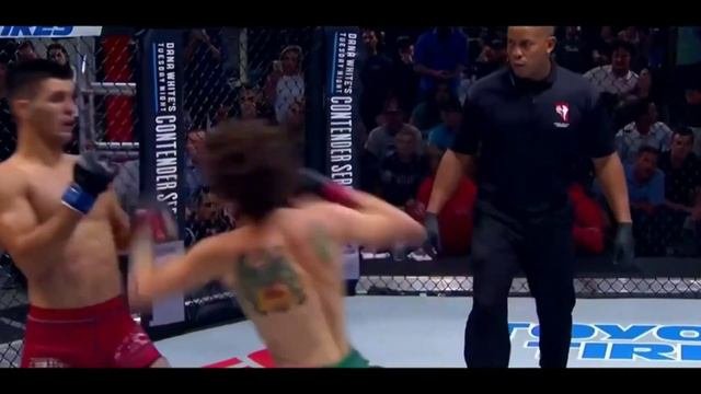 Шон О'мэлли vs Хосе Киньонеса Альберто Прогноз боя UFC 248