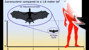ИКАРОНИКТЕРИС - Древняя летучая мышь | Эволюция рукокрылых