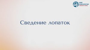 Сведение лопаток