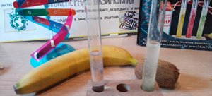 СА 50-3-23. Орлов Павел. Биотехнология - надежды и свершения. Видеоролик. Как выделить ДНК из банана