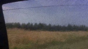 Автошторки своими руками