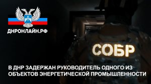В ДНР задержан руководитель одного из объектов энергетической промышленности