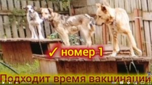 Мы хотим жить в безопасности